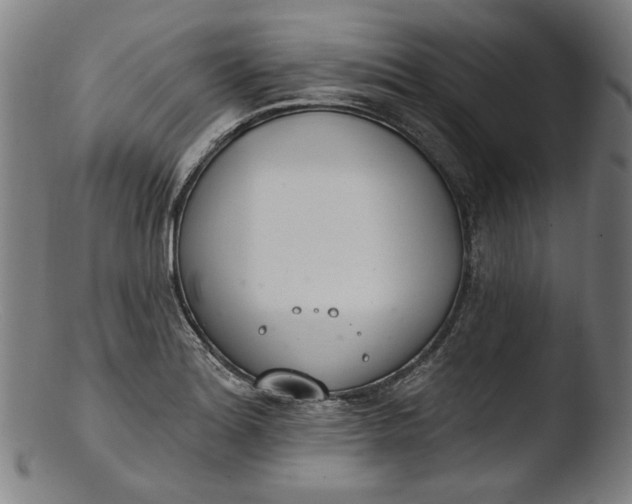 X0000103401180200809261613