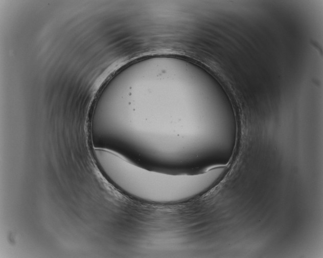 X0000103401181200809261613