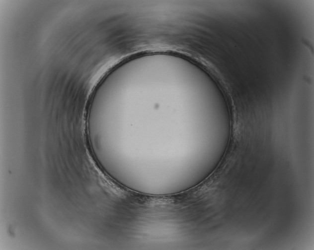 X0000103401183200809261613