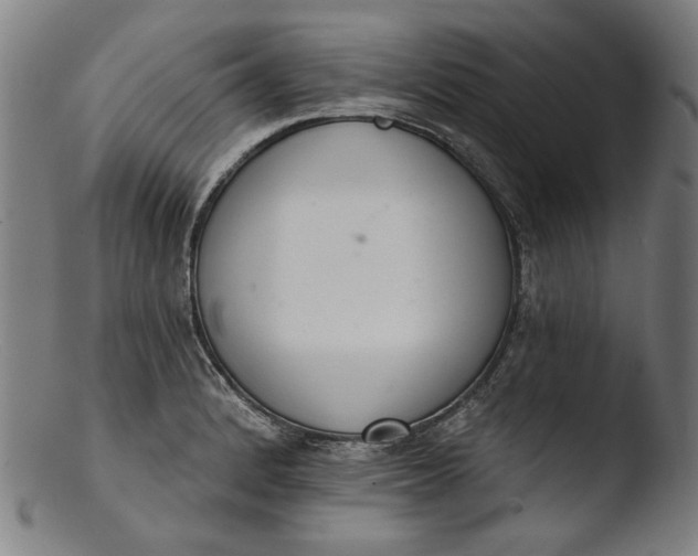 X0000103401184200809261613