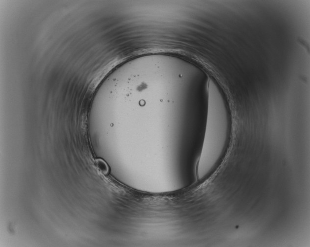 X0000103401185200809261613