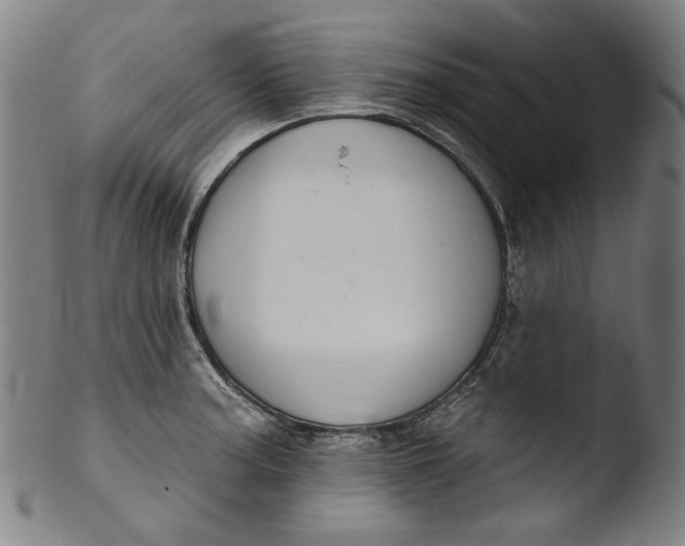 X0000103401187200809261613