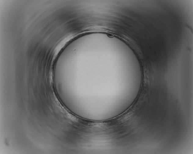 X0000103401188200809261613