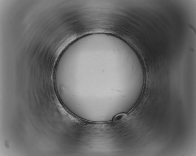 X0000103401189200809261613