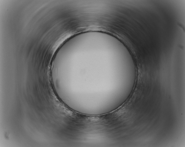 X0000103401190200809261613