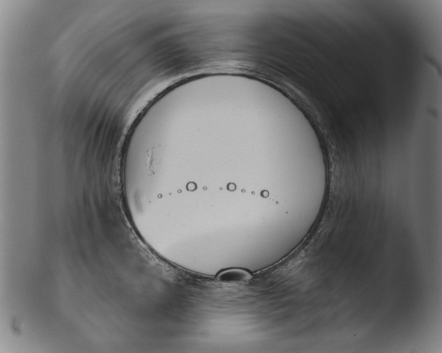 X0000103401192200809261613