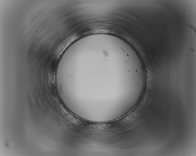 X0000103401193200809261613