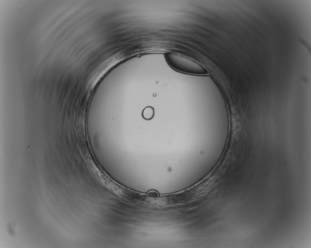 X0000103401194200809261612