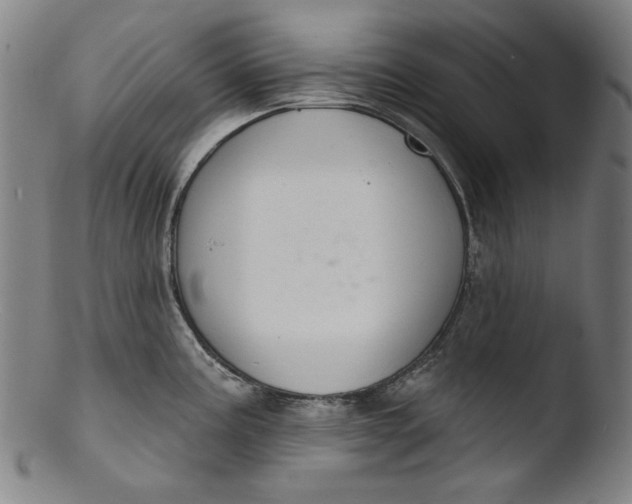 X0000103401195200809261612