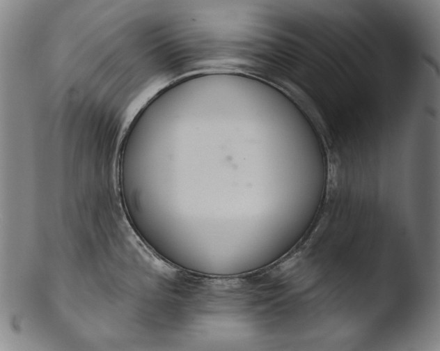 X0000103401196200809261612