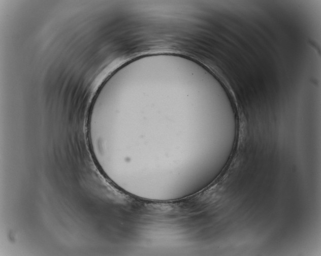 X0000103401197200809261612