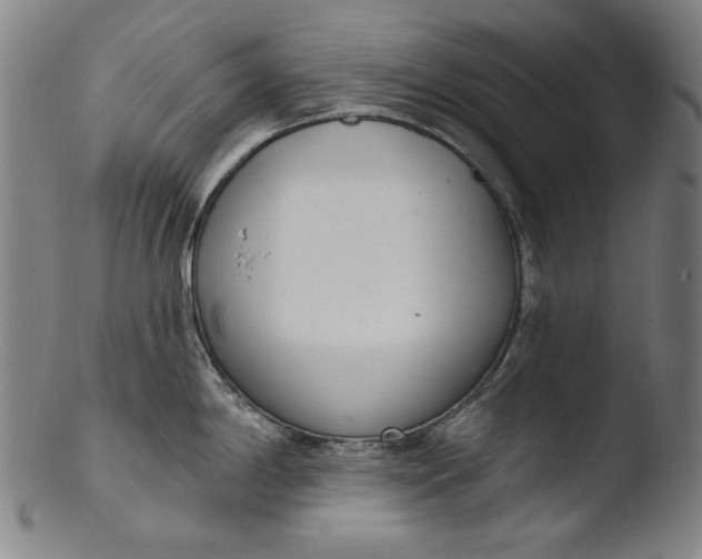 X0000103401198200809261612