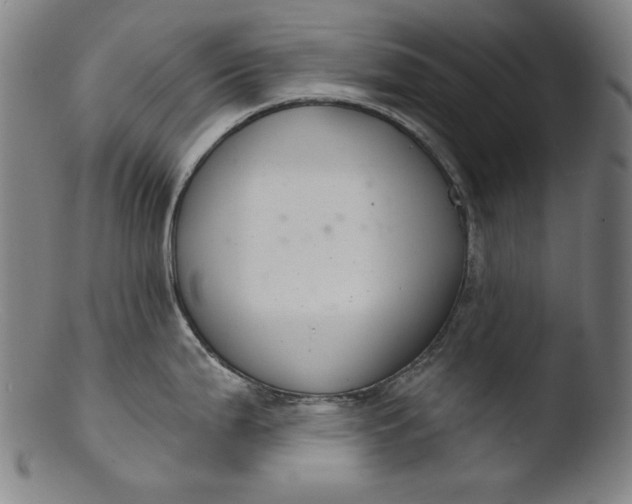 X0000103401199200809261612