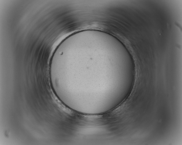 X0000103401200200809261612