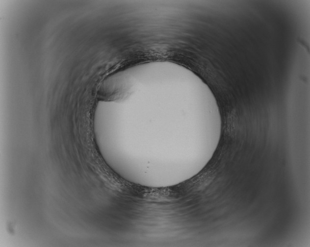 X0000103401201200809261612