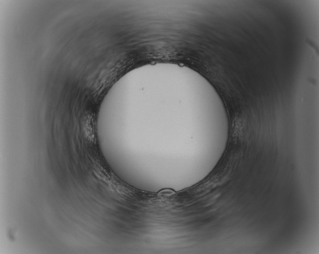 X0000103401202200809261612