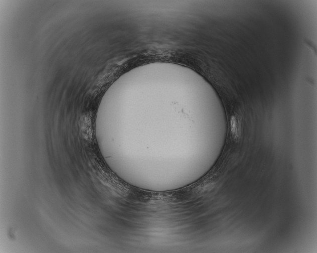 X0000103401203200809261612