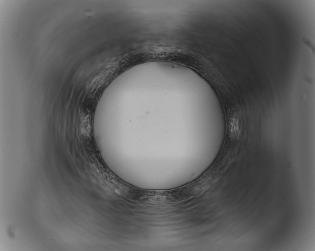 X0000103401204200809261612