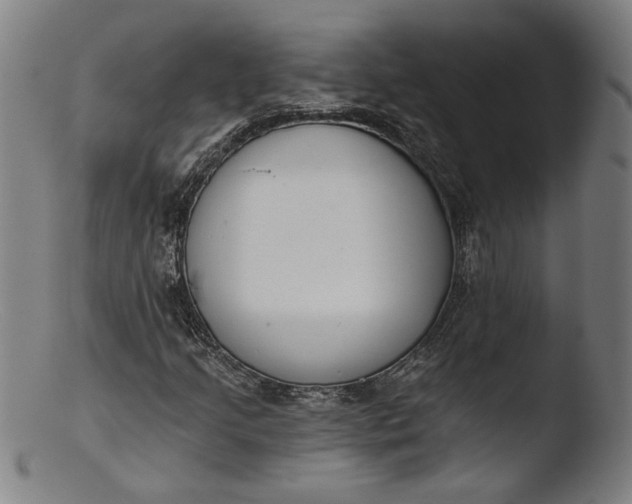 X0000103401205200809261612