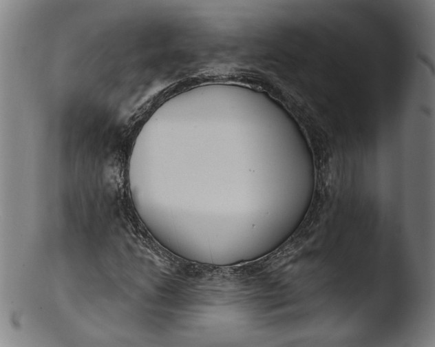 X0000103401206200809261612