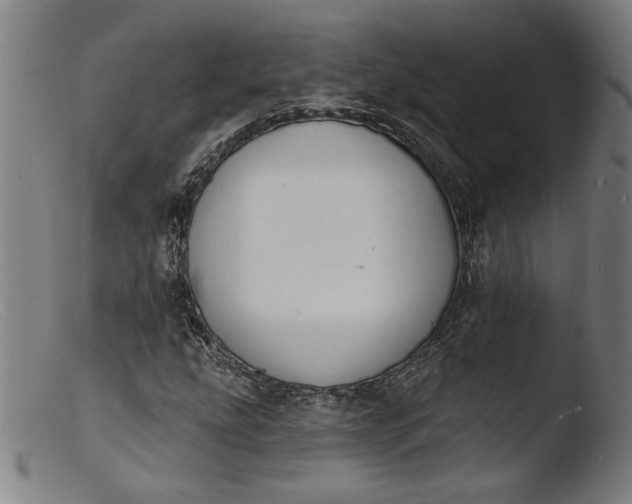 X0000103401207200809261612