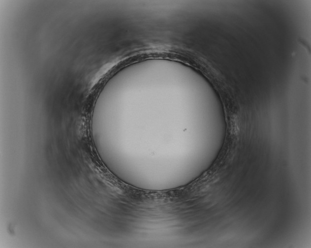 X0000103401208200809261612