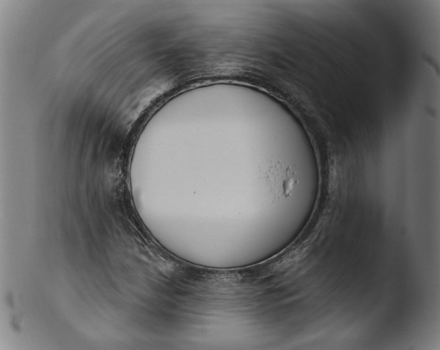 X0000103401210200809261612