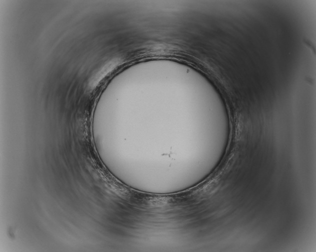 X0000103401211200809261612