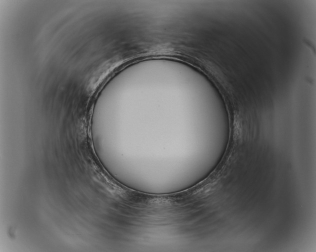 X0000103401212200809261612