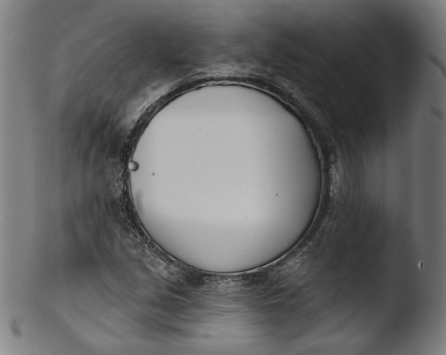 X0000103401213200809261612