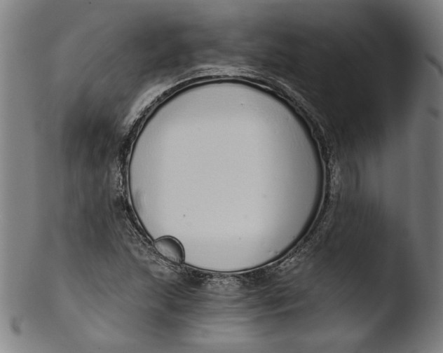 X0000103401215200809261612