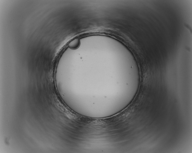 X0000103401216200809261612