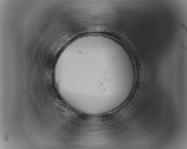 X0000103401217200809261612