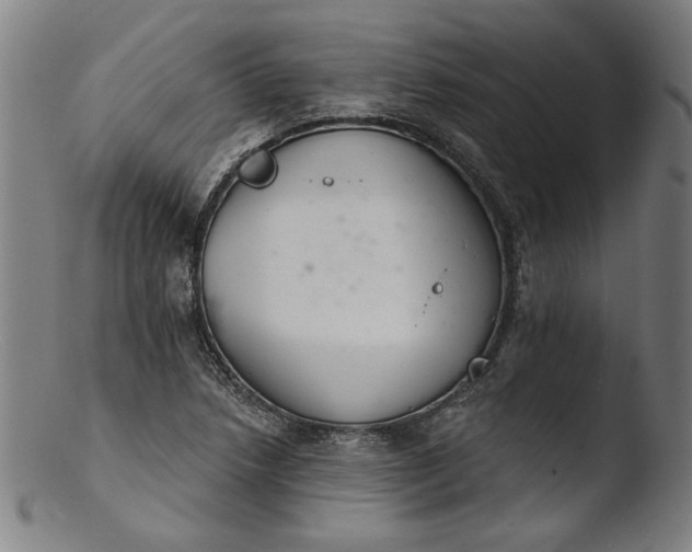 X0000103401218200809261612