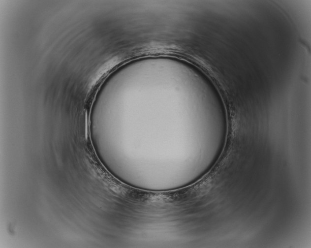 X0000103401219200809261612