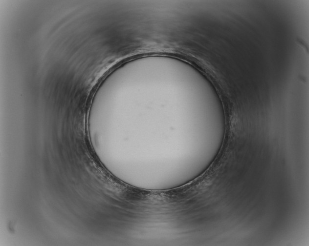 X0000103401220200809261612