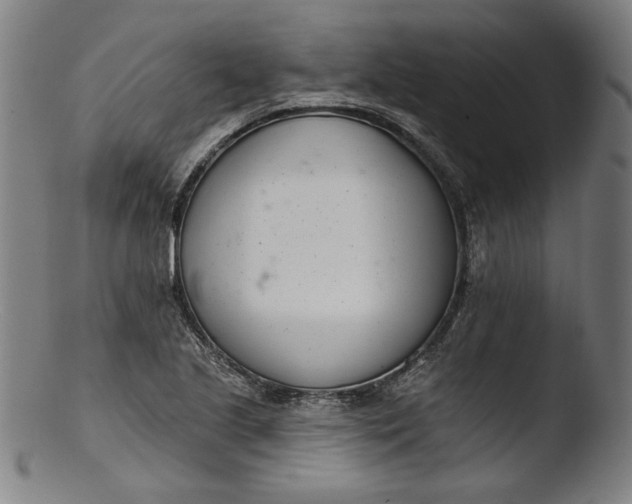 X0000103401221200809261612