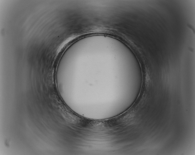 X0000103401222200809261612