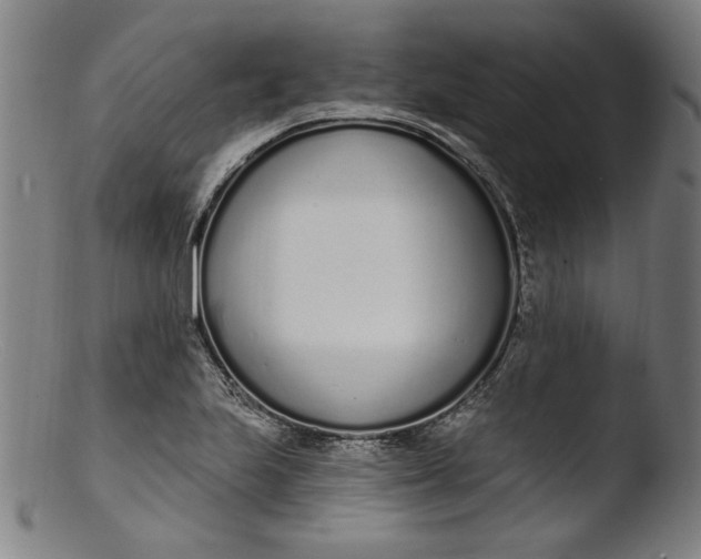 X0000103401223200809261612