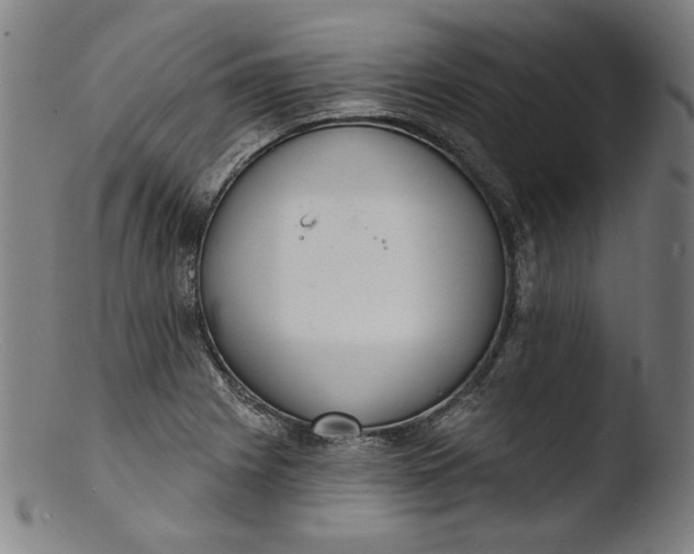 X0000103401225200809261612