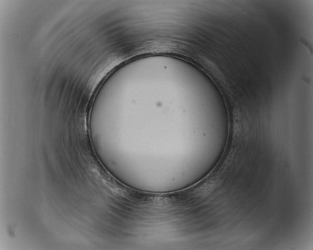 X0000103401226200809261612