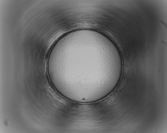 X0000103401227200809261612