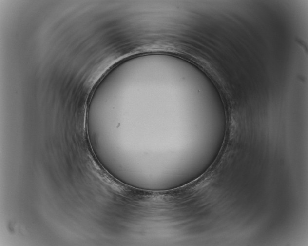 X0000103401228200809261612