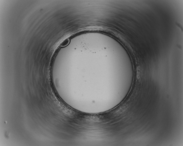 X0000103401229200809261612