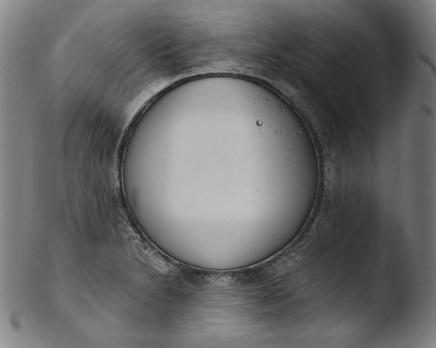 X0000103401230200809261612