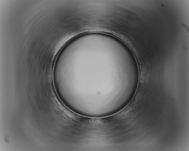 X0000103401231200809261612