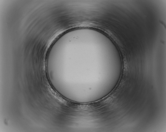 X0000103401232200809261612