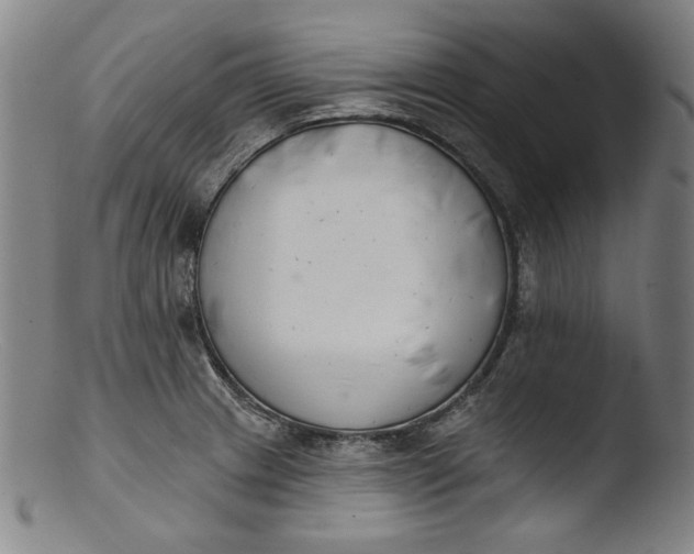 X0000103401233200809261612