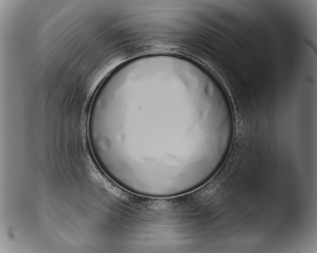 X0000103401235200809261612