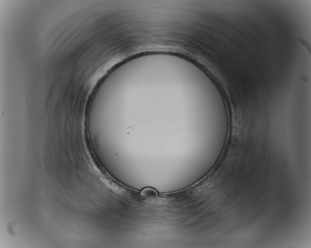 X0000103401237200809261612